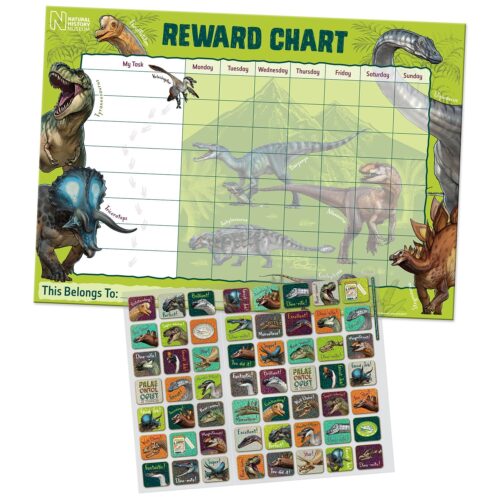 NHM Dinosaur Reward Chart